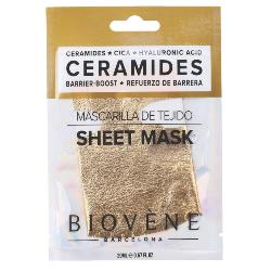 Masque protecteur pour le visage